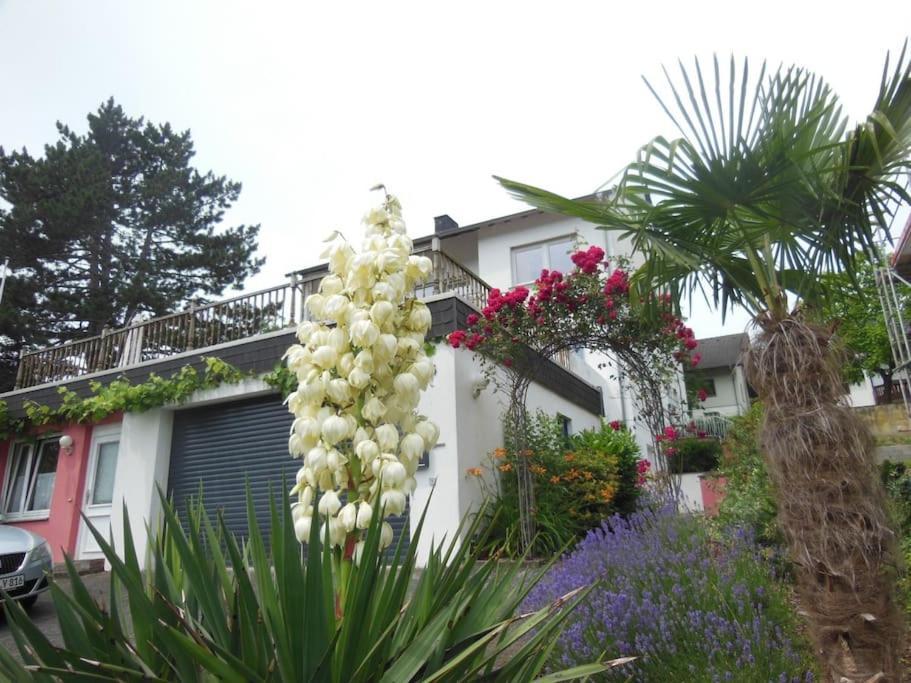 Julia'S Mosel Villa Appartement Nicolas Traben-Trarbach Exterior foto